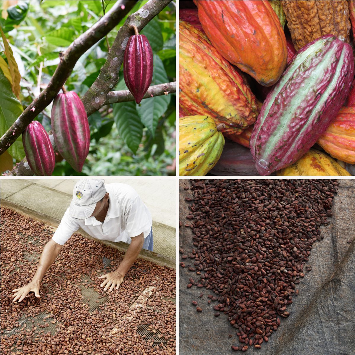 Ecuadorian_Farmers